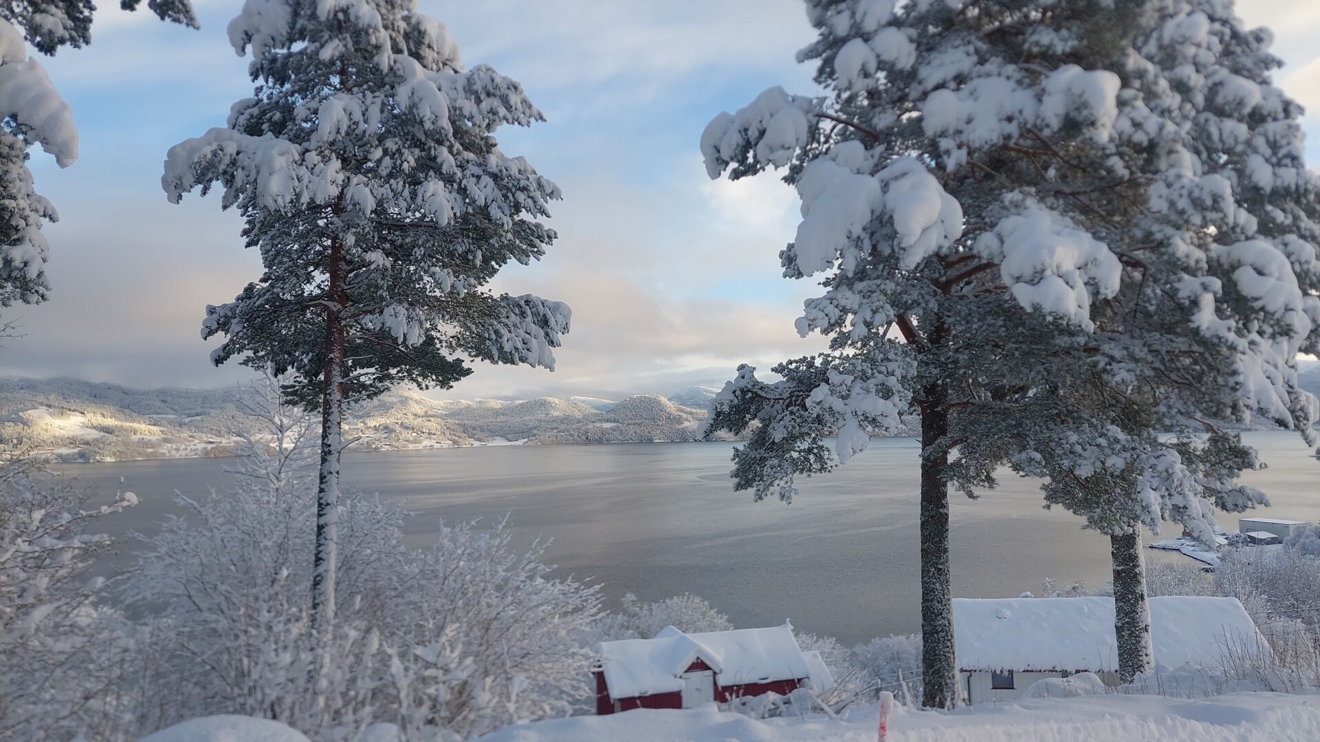 Snow-covered landscape. A grey blue fjord. Some huge pine trees and a small red farm building and white house in the foreground. Forests and mountains on the other side of the fjord. Grey clouds touching the mountains.