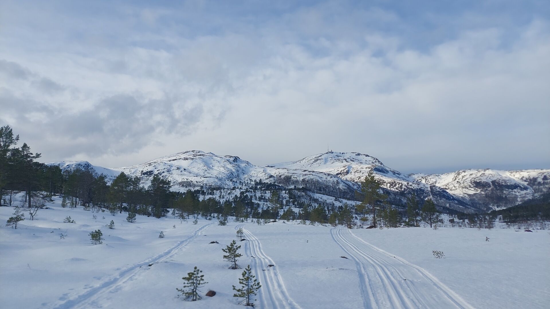 Snow-covered landscape. Three separate skiing tracks going ahead. Some pine trees scared. A couple of mountains in the back. Cloudy sky. Some sunlight coming in on the mountains from the left.