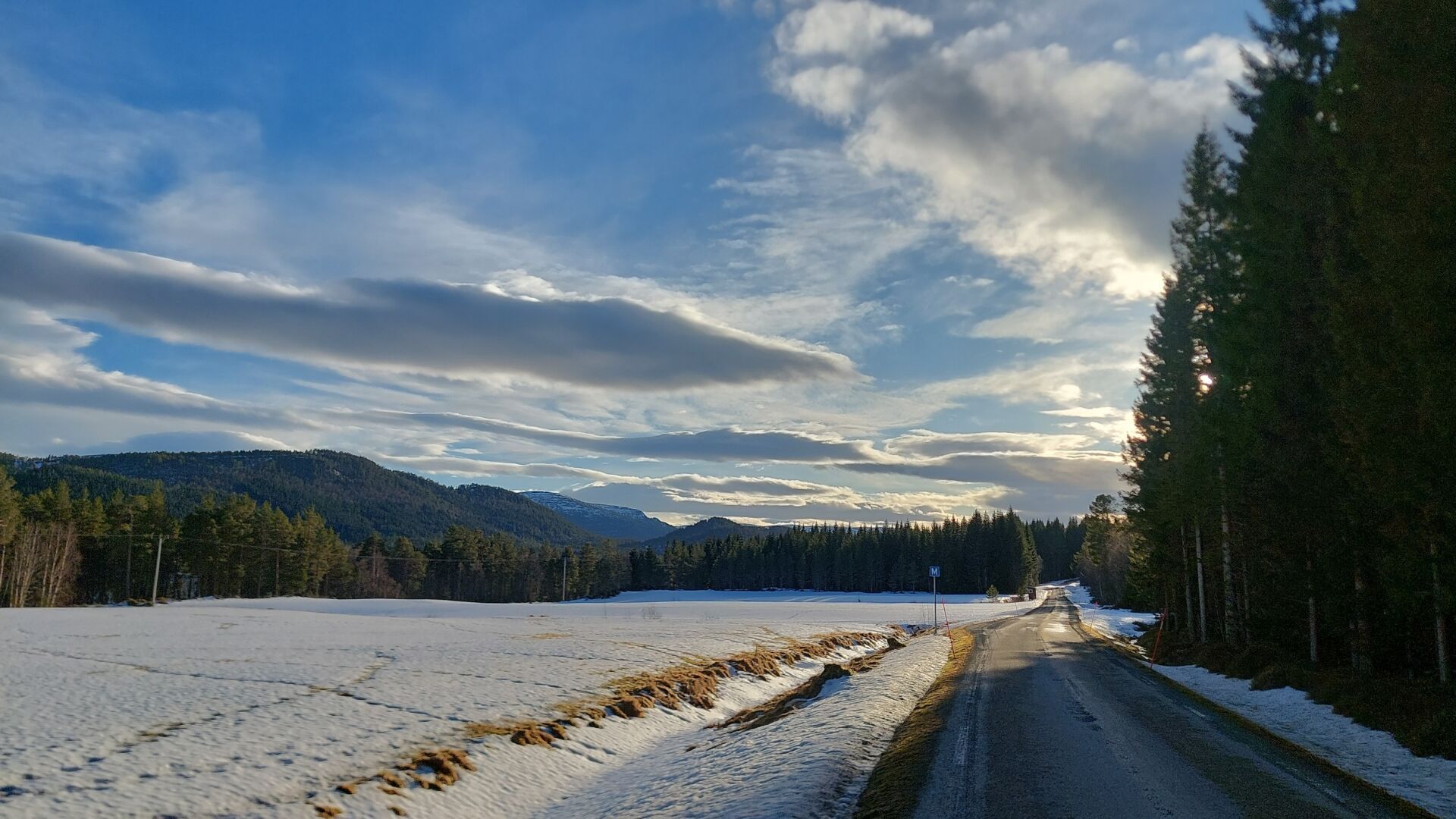Snow-covered field to the left, road going straight ahead on the right side. Tall fir trees to the right and in the distance behind the field. Some clouds in a blue sky. The sunlight is coming in from the right.