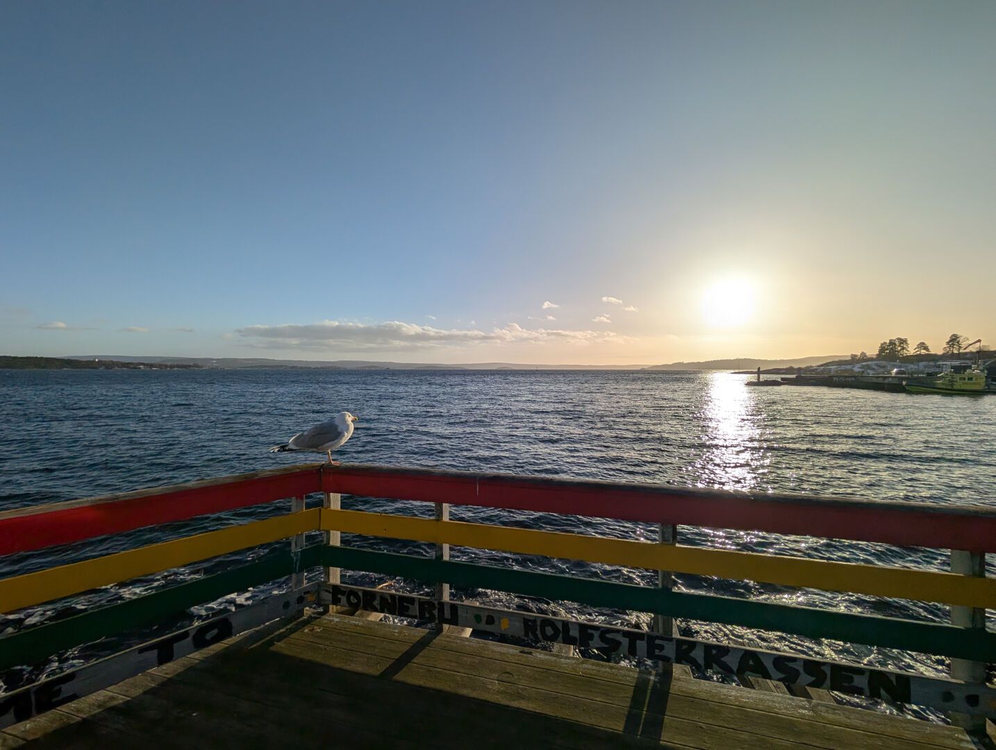 et rekkverk med en mektig måke forran sol og sjø